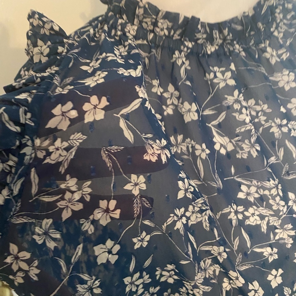 Banana Republic Dress SZ 4 Knee Length Sheer Blue Floral Ruffle Round Neck - Picture 3 of 5